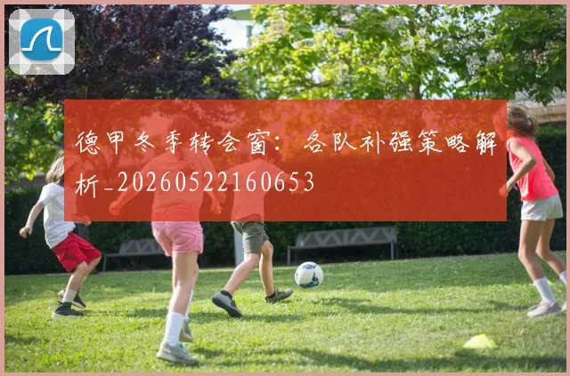 德甲冬季转会窗：各队补强策略解析_20260522160653